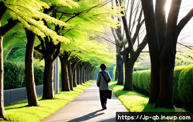정보 다이어트법과 자아 성장 관련 이미지 1
